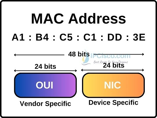 Mac Address